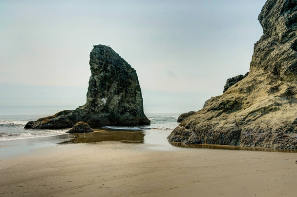 Coast Scene with Rocks and Nature in Oregon United States of Ame - Photo, Image