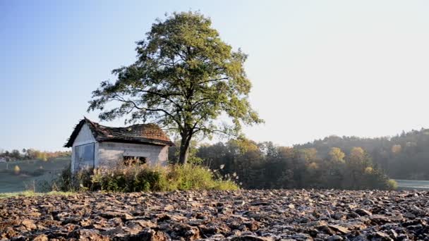 Cabaña abandonada, granero en el campo al amanecer con árbol al lado
 - Metraje, vídeo