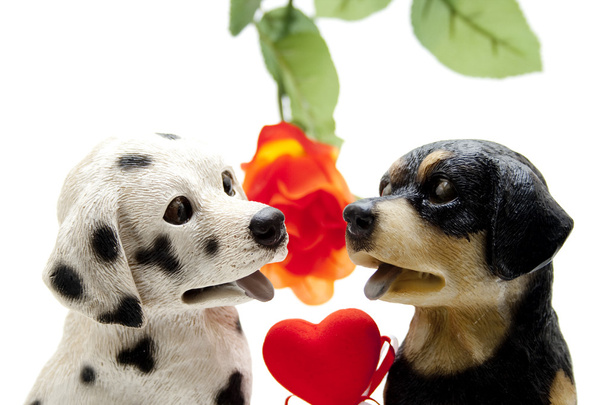 paar van de hond met hart - Foto, afbeelding