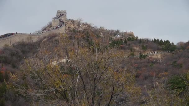 επισκέπτης αναρρίχηση Σινικό Τείχος στην κορυφή του βουνού, Κίνα αρχαία αρχιτεκτονική, fortres - Πλάνα, βίντεο