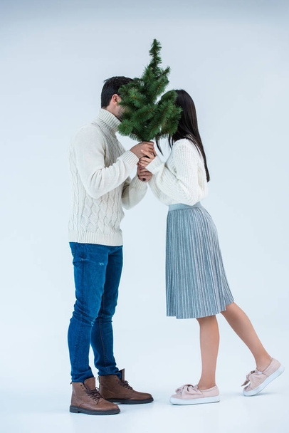 pareja sosteniendo árbol de navidad
 - Foto, imagen