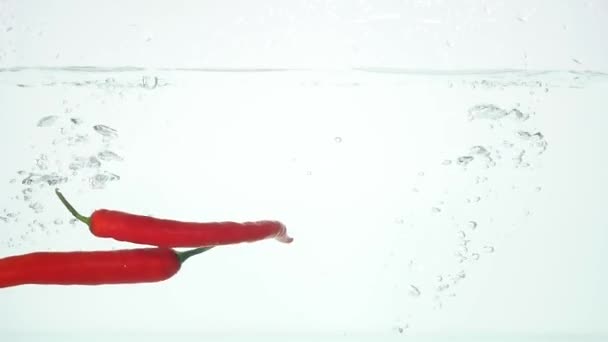 closeup dropping fresh chilies into water - Кадри, відео