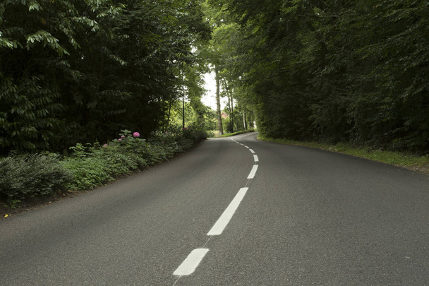 leere Asphaltstraße durch den grünen Wald in der Region Normandie, Frankreich. Natur, Landschaft, Verkehr und Straßennetzkonzept. - Foto, Bild
