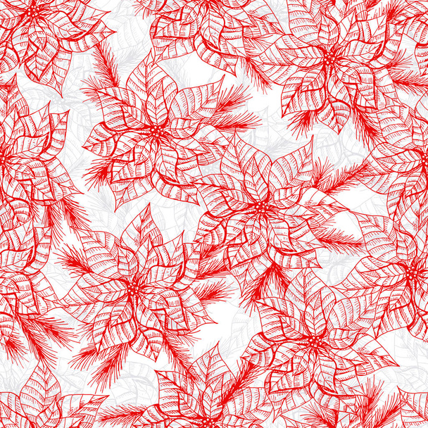 Poinsettia and fir branches - Вектор,изображение