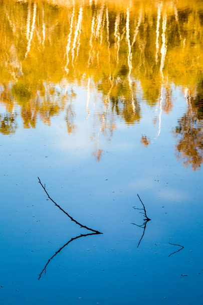 Hojas de otoño reflejándose en el agua
 - Foto, Imagen