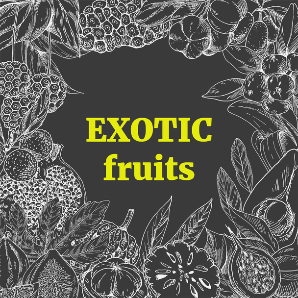 exotic fruits, square frame - Vector, afbeelding