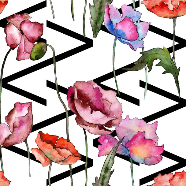 Wildflower poppy flower pattern in a watercolor style. - Foto, afbeelding