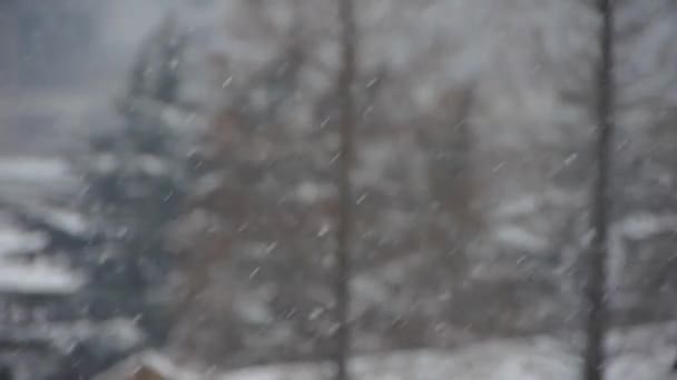 spadające płatka śniegu, śnieg pokrywa dom & lasu. - Materiał filmowy, wideo