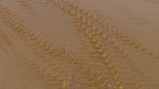 água que flui sobre a areia na praia. - Filmagem, Vídeo