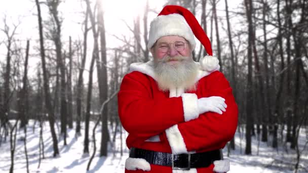 Santa, winter forest background. - Footage, Video