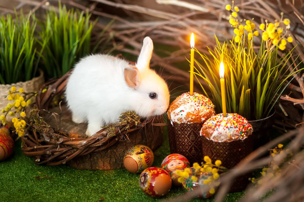 Conejito de Pascua blanco. Pasteles de Pascua con velas y decora festiva
 - Foto, imagen