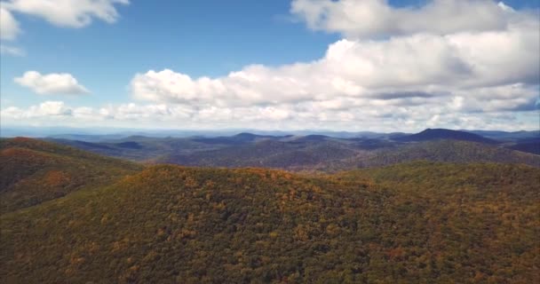 丘と緑の森に覆われた山々 の素晴らしい空撮。ロシア - 映像、動画