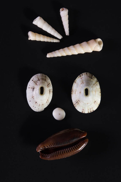 Sea shell gezichten - Foto, afbeelding