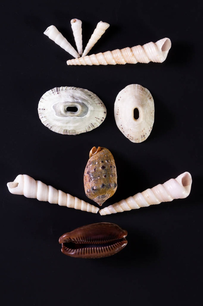 Sea shell πρόσωπα - Φωτογραφία, εικόνα