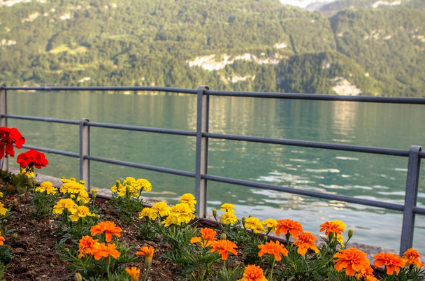 Lago Brienz, Suíça
 - Foto, Imagem