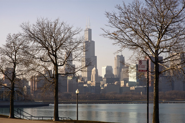 Invierno seco en Chicago
 - Foto, Imagen