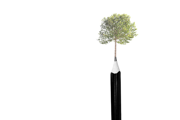 Ympäristö käsitteellinen puu päälle kyniä eristetty
  - Valokuva, kuva