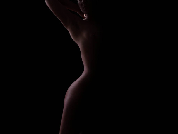 naked silhouette of a slender girl - 写真・画像