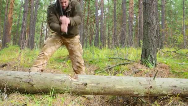 Oduncu işçisi birçok parçalanmak ormanda büyük baltayla kırma ağaç doğrama. Açık havada büyük balta ile çalışan büyük kaslı adam sökük güçlü sağlıklı Yetişkin - Video, Çekim