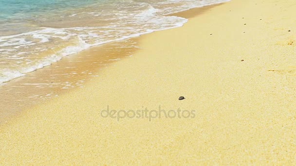 Vagues atterrissant sur une plage de sable fin. Eau bleue claire. Mouvement lent
. - Séquence, vidéo