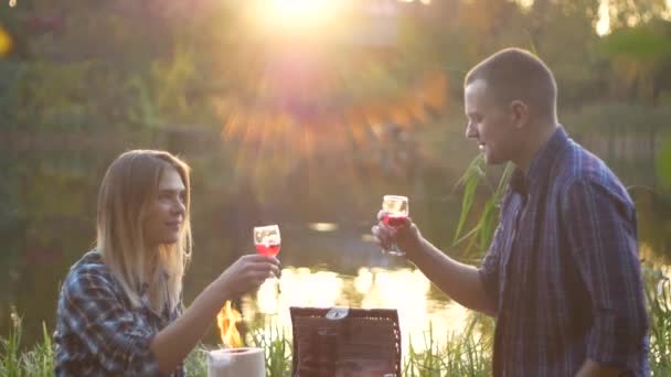 Nuori onnellinen avioliitto piknikretkellä juo punaista viiniköynnöstä
 - Materiaali, video