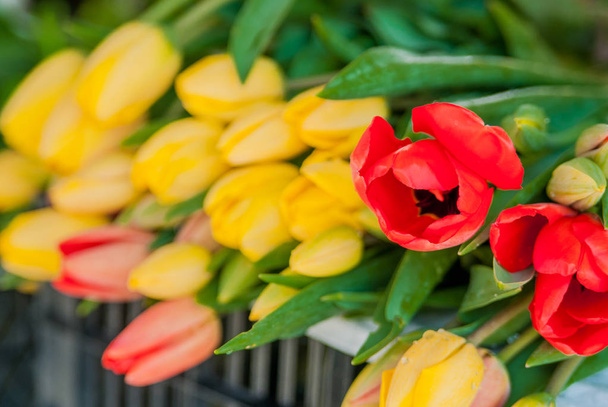 Bouquets of tulips for sale - Φωτογραφία, εικόνα