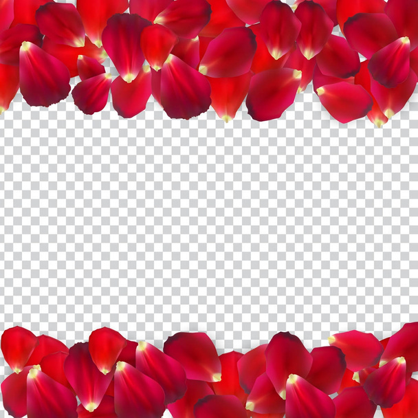 naturalistische Rosenblätter auf transparentem Hintergrund. Vektorillustration - Vektor, Bild