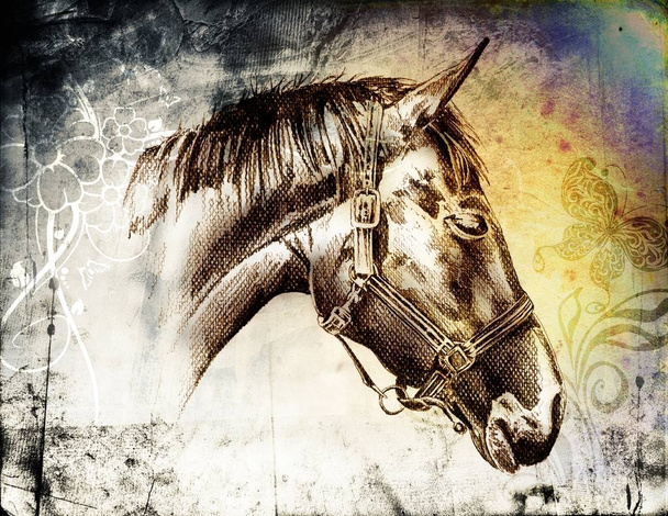 вільний кінь голова олівець малюнок
 - Фото, зображення