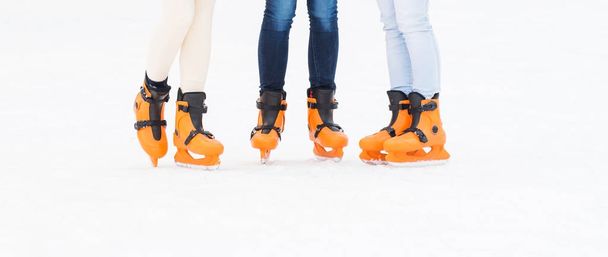 female legs in skating shoes - 写真・画像