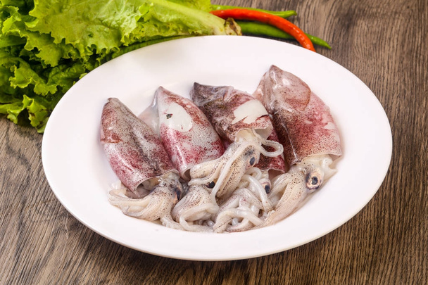 Raw squid in bowl - Photo, Image