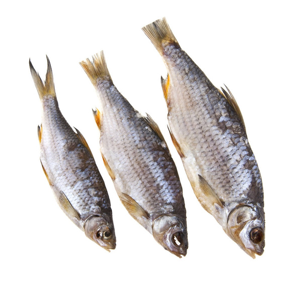 schokkerige vis geïsoleerd op een witte achtergrond closeup - Foto, afbeelding