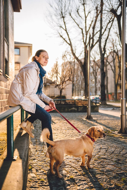 Woman with a dog sitting on a green fence - Valokuva, kuva