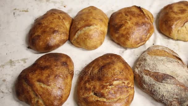 Fresh Breads Bakery - Footage, Video