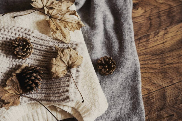 winter sweaters with dry leaves and pinecones - Photo, Image