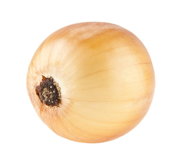 onions isolated on white background closeup - Photo, Image