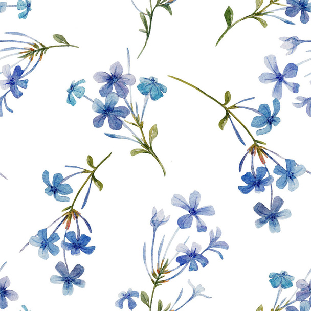 Watercolor floral pattern - Foto, afbeelding