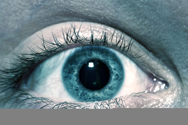 Macro olho humano
 - Foto, Imagem