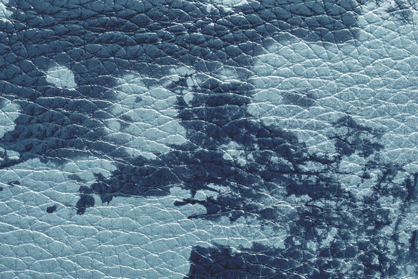 textura kůže materiál modrá tón - Fotografie, Obrázek