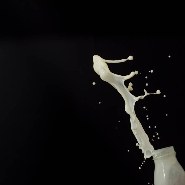 maito roiskeita mustalla pohjalla, valkoinen nestemäinen maito eristetty b
 - Valokuva, kuva