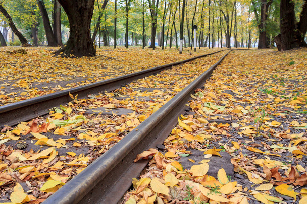 Rails dans le parc de la ville avec des feuilles d'automne jaunes tombées
 - Photo, image