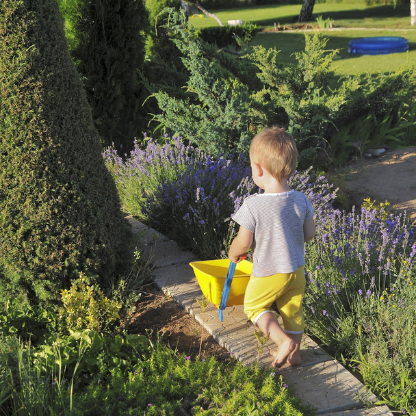 The kid is carrying a toy garden cart in a country house - Фото, изображение