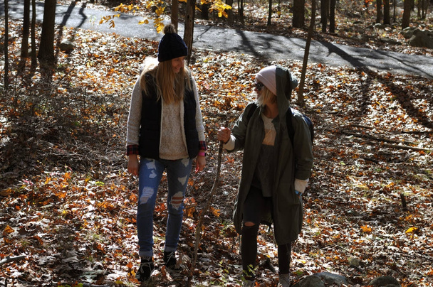 Girls walking in autumn forest in the mountains. Hiking and traveling - Φωτογραφία, εικόνα