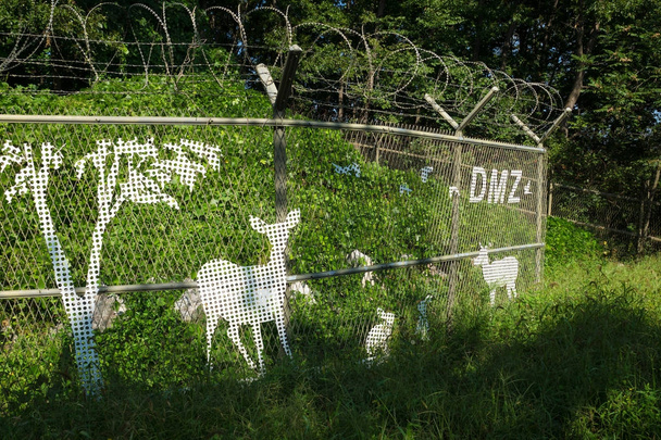 Fence with barbed wire in green nature, trees and bushes with painted deer on the fence along the DMZ, the third tunnel, South Korea - Photo, Image