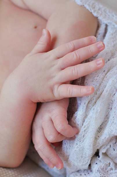 little baby hand - Foto, Bild