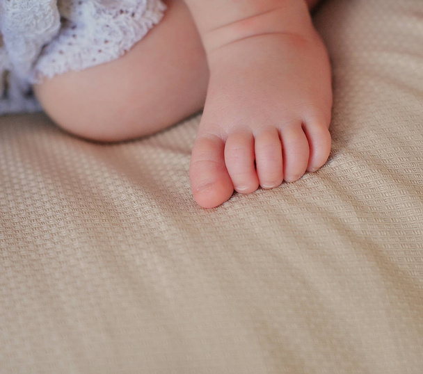 Legs newborn baby. - Foto, Bild