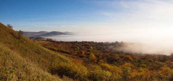 Misty morning in Central Bohemian Highlands, Czech Republic - 写真・画像