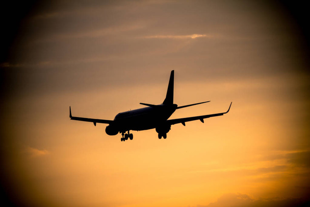 Lentokone laskeutuu auringonlaskun aikaan - Valokuva, kuva