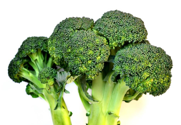 Cavolo broccolo crudo e fresco sano isolato su fondo bianco
 - Foto, immagini
