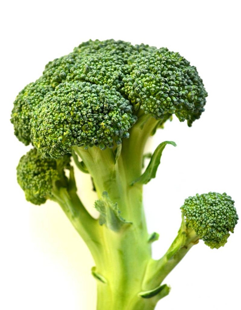 Surowe i świeże zdrowe Brokuły Kapusta na białym tle - Zdjęcie, obraz