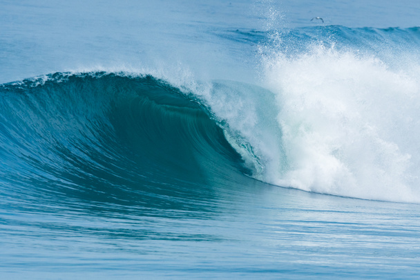 ポルトガルの大西洋の波 - 写真・画像